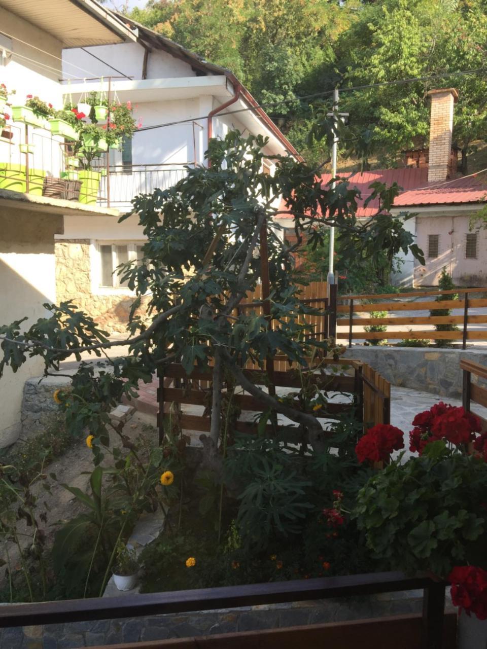 Madox Apartment Ohrid Exterior photo